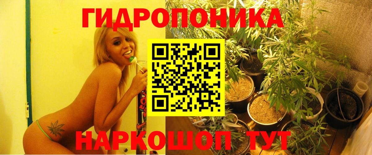 Шишки марихуана гибрид  Шишки марихуана ГИДРОПОН  Вход с VPN  МАРИХУАНА семена  Качканар  Бошки Шишки семена 